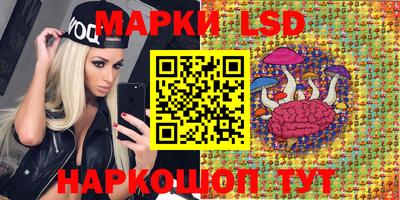 скорость Аргун