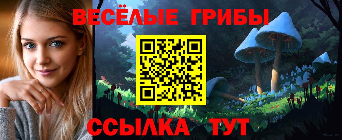 Астрахань  Галлюциногенные грибы Magic Shrooms  Вход с VPN 
